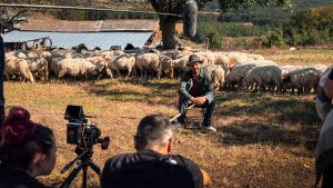 Narative immersive: experiențe interactive în conținut video