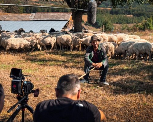 Narative immersive: experiențe interactive în conținut video